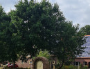 03PHOTO-2025-07-26-00-12-42 2