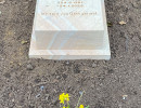 XIMG_1334-2