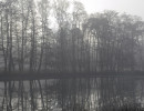 morgenspaziergang 1884 20260214
